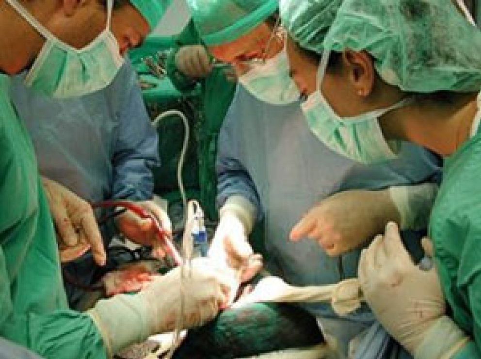 Foto: Descienden las donaciones de órganos en España durante 2010