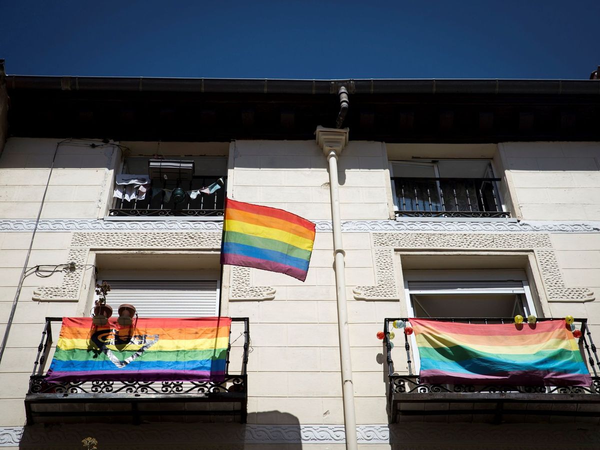 Foto: ¿Cuál es el verdadero significado de las siglas LGTBIQ+? ( EFE / Luca Piergiovanni)