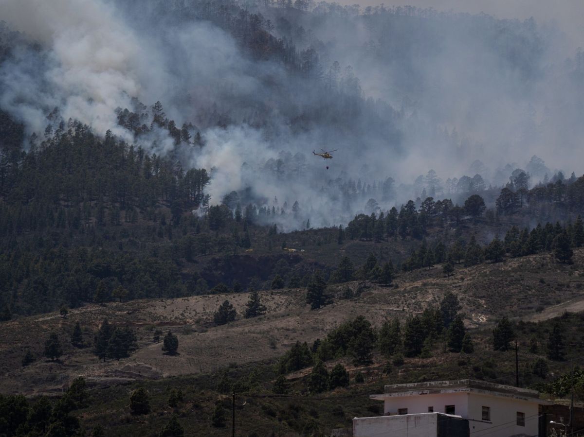 Foto: Declarado un incendio forestal en el municipio de Arico (Tenerife). (EFE) 