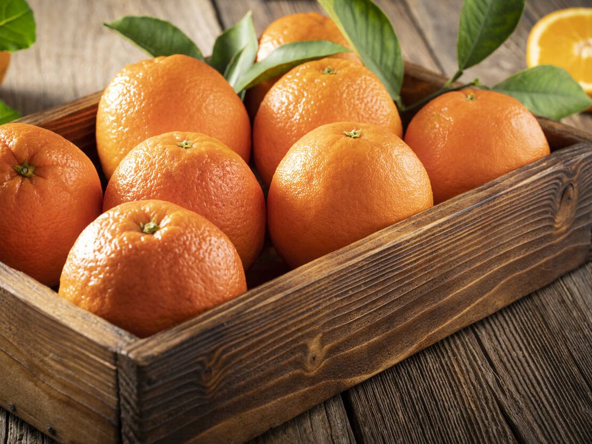 Foto: El truco para que las naranjas y limones aguanten más tiempo con todo su sabor. (iStock)