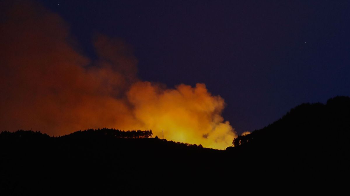 El Cabildo de Gran Canaria da por controlado el incendio que afectó a la cumbre