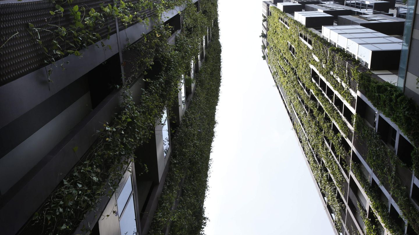 Jardines verticales adornan dos edificios en Bangkok. (EFE/Barbara Walton)