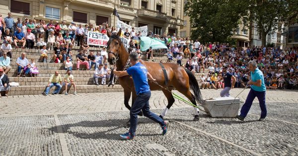 Foto: Exhibición de arrastre de piedra por caballos en Vitoria en las fiestas de La Blanca de este año entre la protesta de grupos animalistas. (EFE)