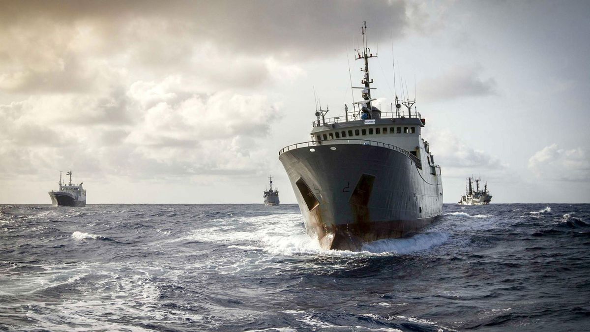 España consigue mantener la cuota de merluza sur y rompe con 4 años de recortes