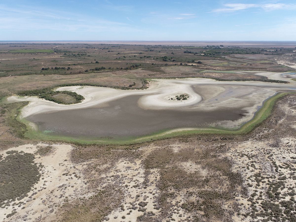 Foto: Aspecto actual de la laguna de Santa Olalla, la mayor de las lagunas permanentes de Doñana. (Reuters/CSIC)