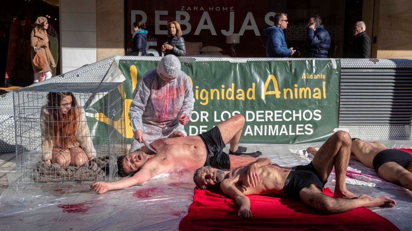 Activistas por los derechos de los animales en Murcia. (EFE)