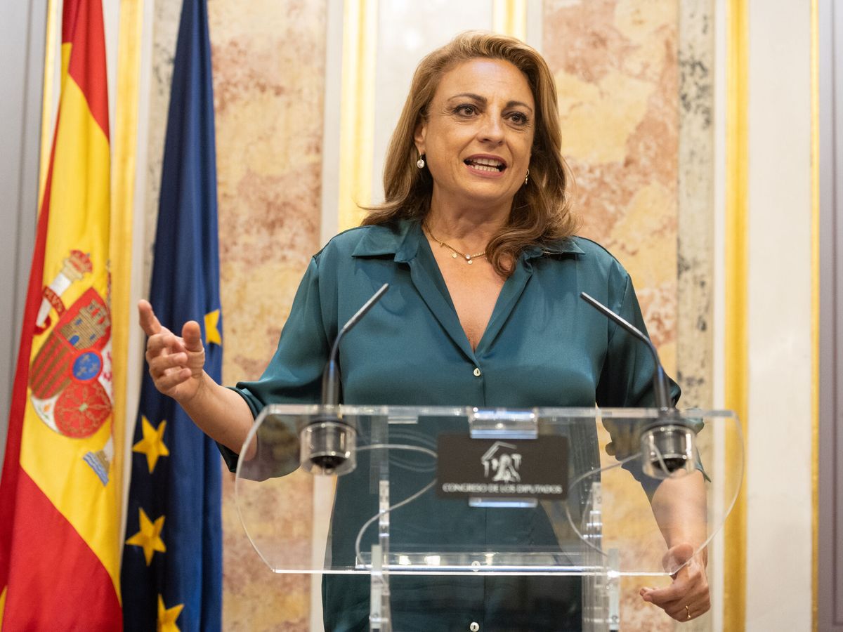 Foto: La representante de Coalición Canaria (CC) en el Congreso, Cristina Valido. (Europa Press/Eduardo Parra)