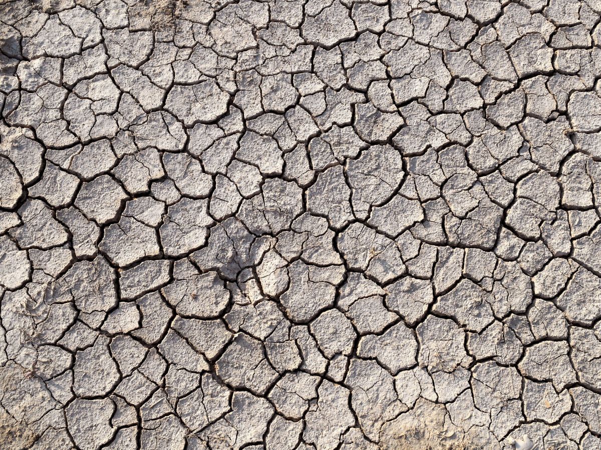 Foto: Vista del suelo agrietado en una parte seca de la laguna de Sijoumi en Túnez. Foto:  Mohamed Messara (EFE)