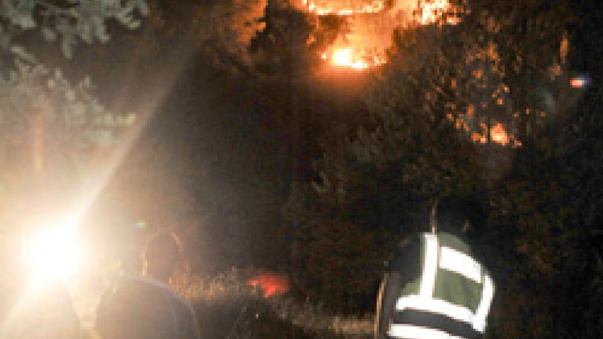 Bauzá: el incendio de Ibiza estará controlado "entre esta tarde y mañana"