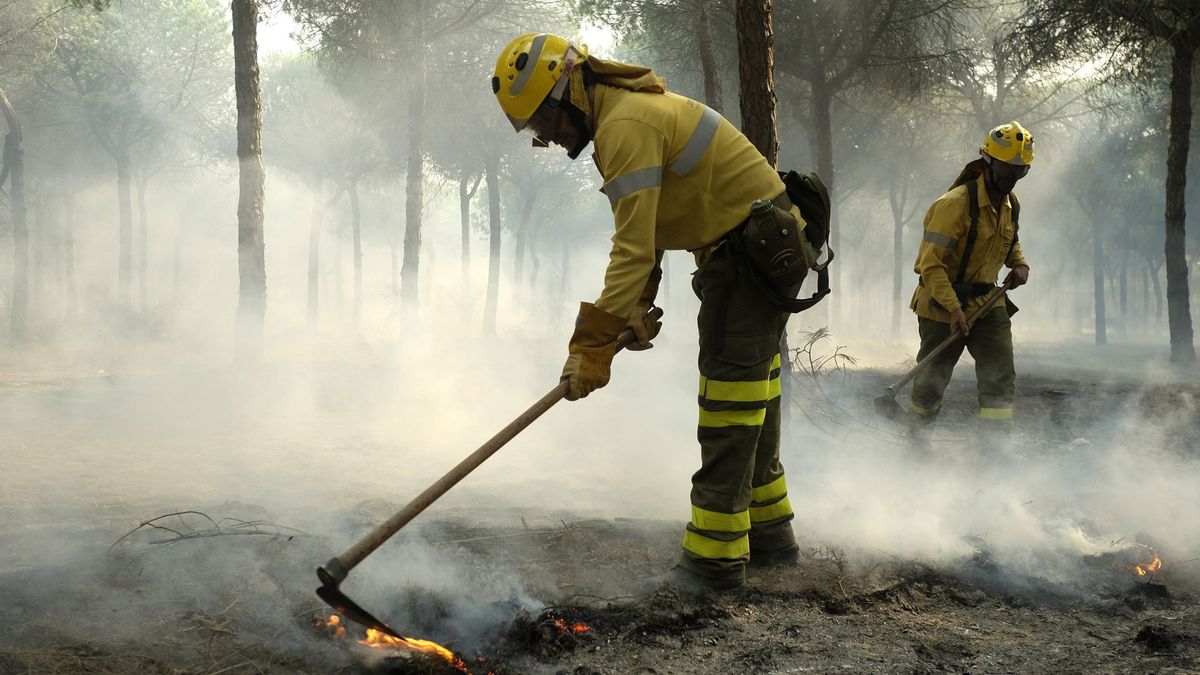 Los vídeos del incendio de Doñana: así se ve el fuego que está quemando Huelva