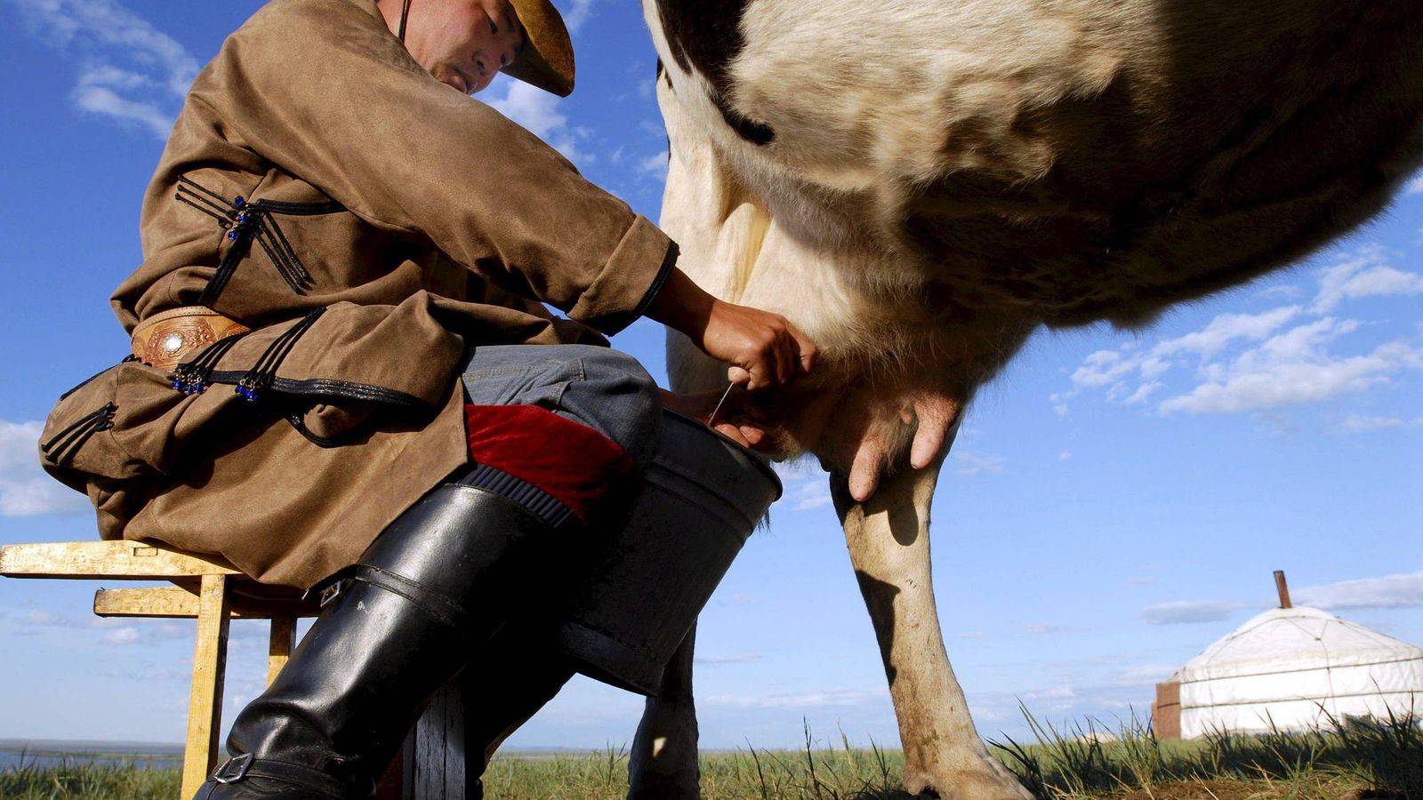 Foto: Un ganadero ordeñando una vaca. (EFE)