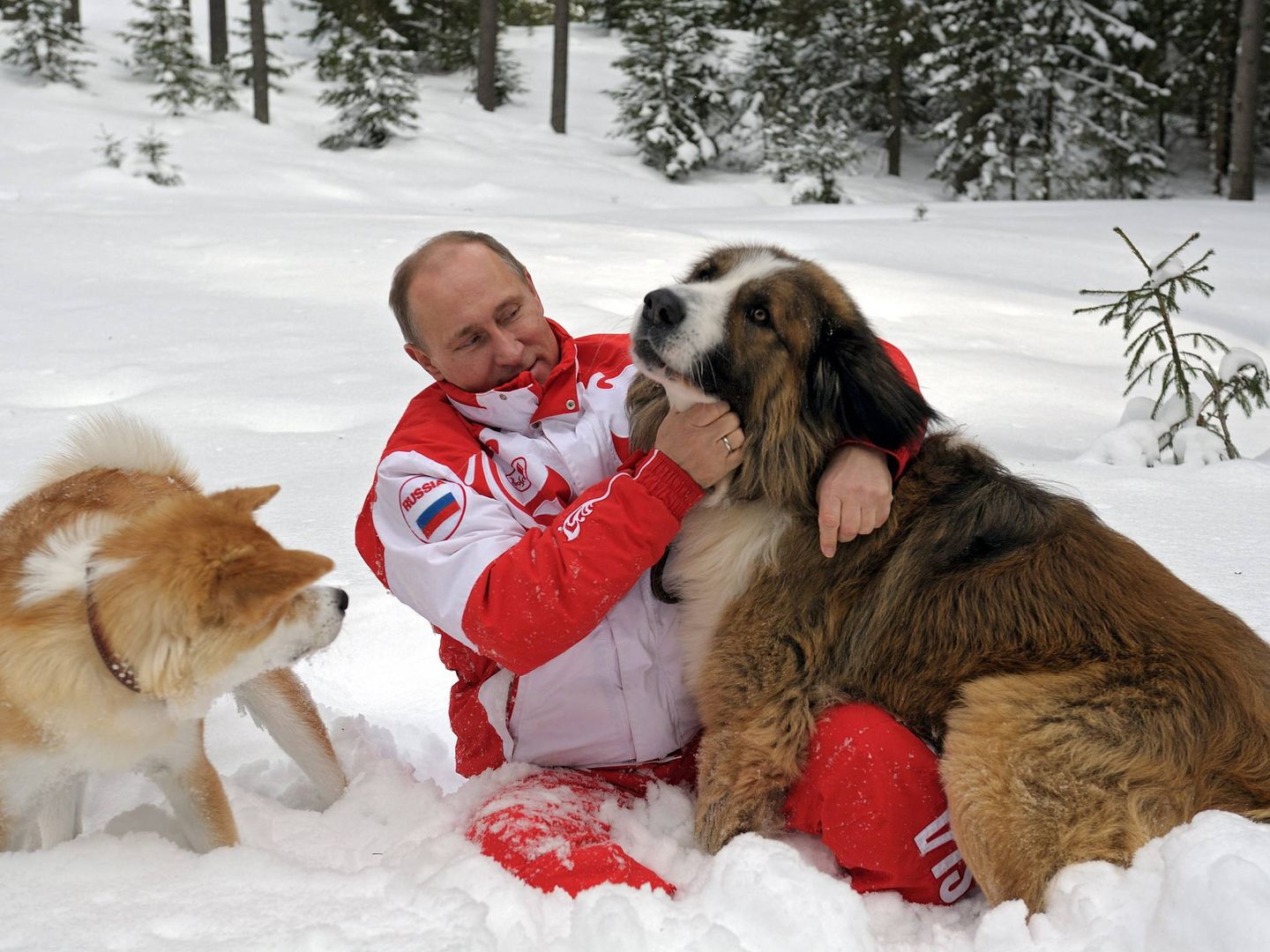 El presidente ruso, Vladímir Putin, juega con sus perros Buffi (d) y Yume (i) en su residencia campestre de Novo-Ogariovo, a las afueras de Moscú. (EFE)