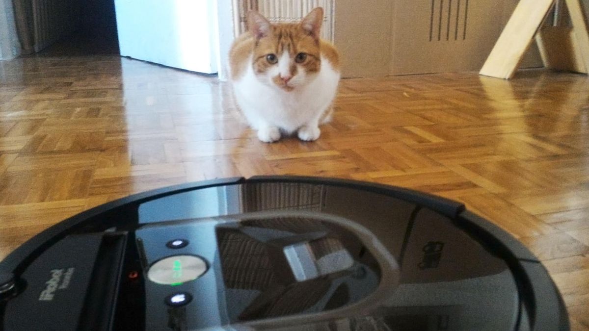 El inventor de la Roomba sabe cuándo te vas a empezar a cansar de tu robot  aspirador