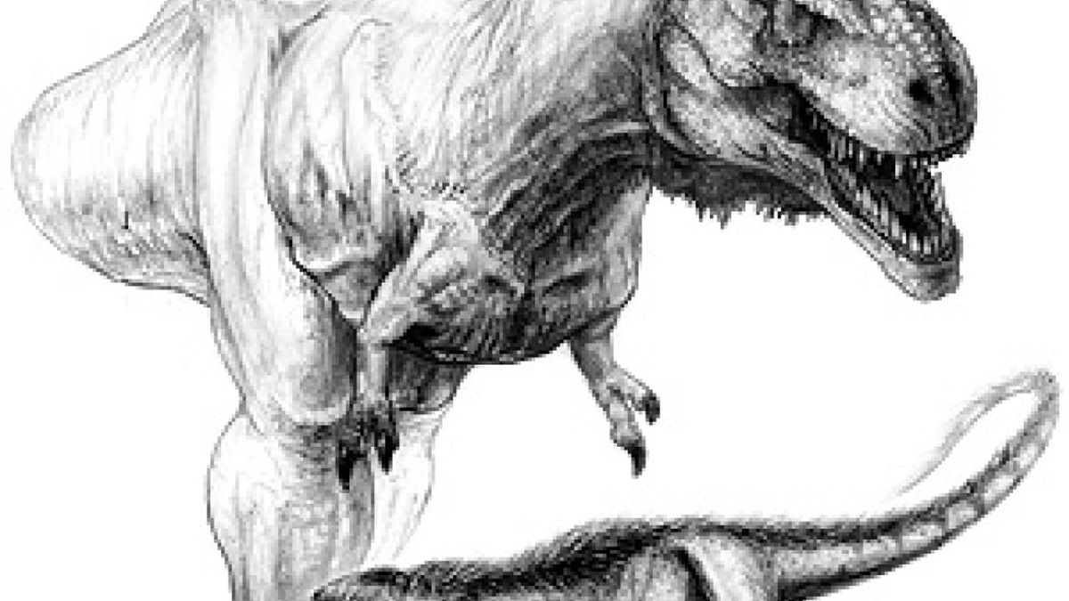 ‘Raptorex’, el pequeño abuelo depredador del T Rex