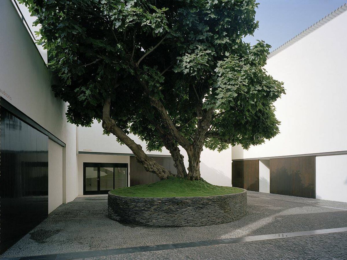 Foto: Plaza de la Higuera, en Málaga. (Museo Picasso)