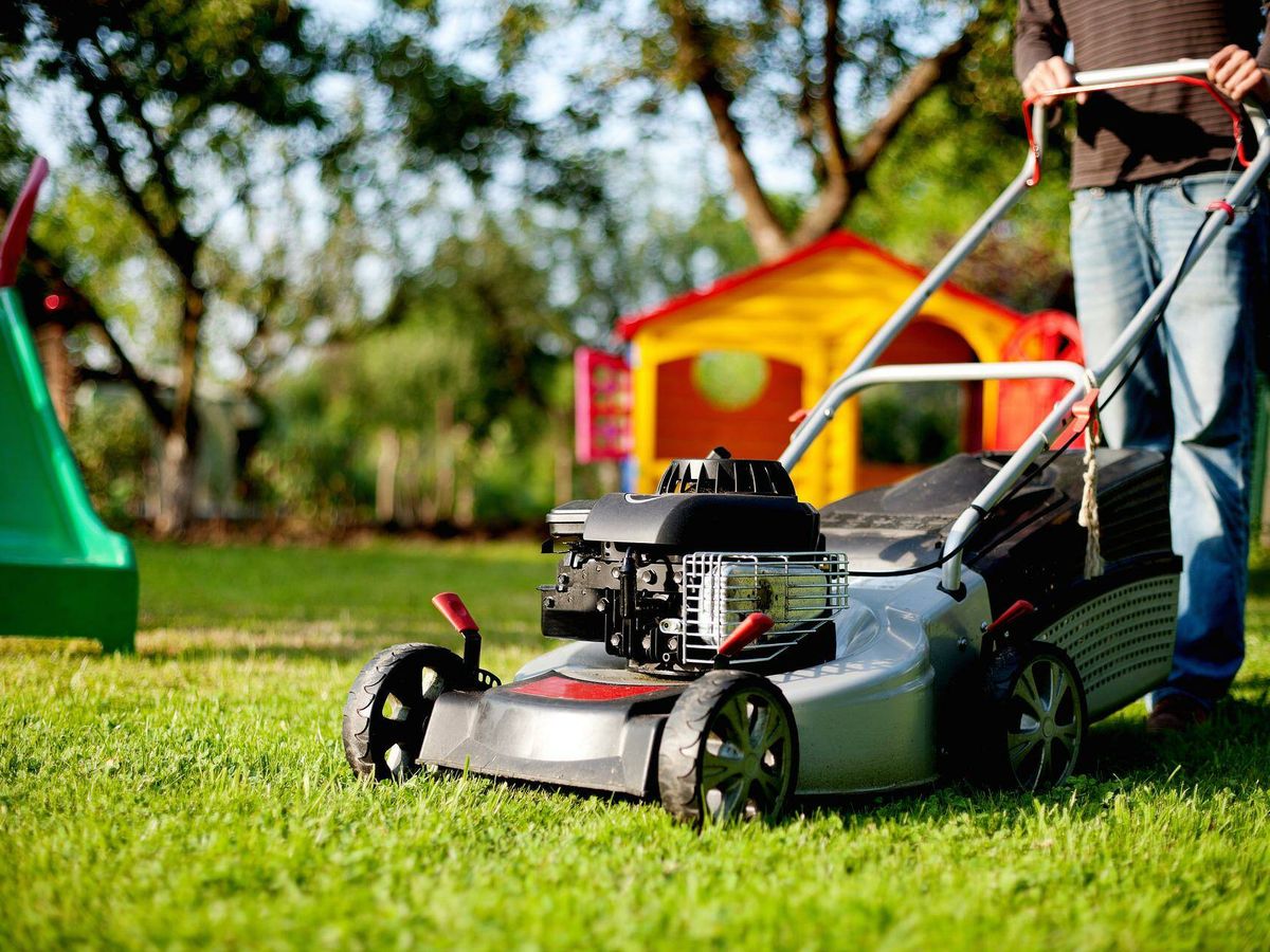Robot Cortacésped: para un jardín y césped perfecto!