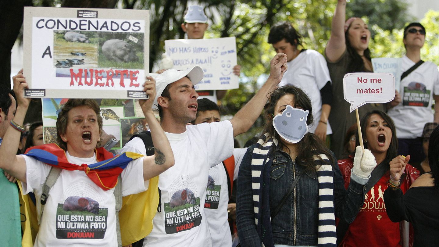 Manifestaciones en 2009 para impedir que el gobierno colombiano actúe contra los hipopótamos. (EFE)