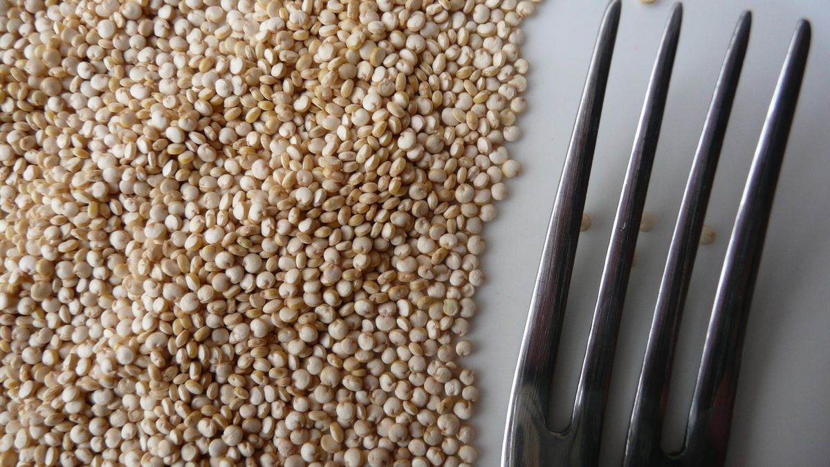 Qué es la quinoa: recetas para ensaladas, arroz y hamburguesas