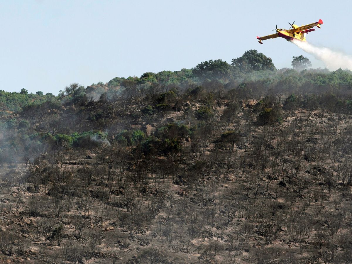Foto: Medios aéreos en la extinción del incendio declarado el viernes en la localidad abulense de El Tiemblo. (EFE)