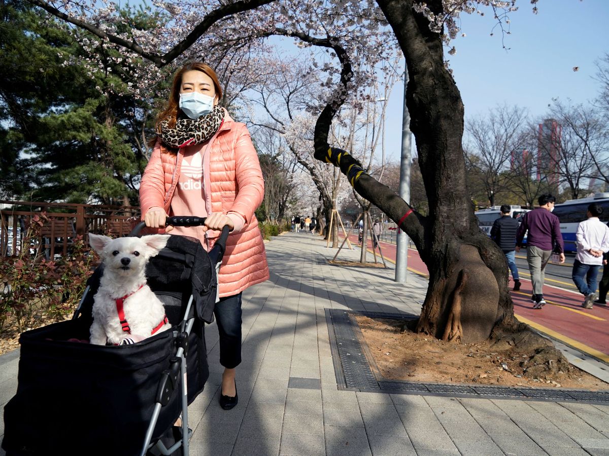 Foto: Una mujer con su perro en Seúl. (Reuters/Kim Hong-Ji)