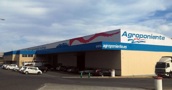 Foto: Instalaciones de Agroponiente en Almería. (Agroponiente)