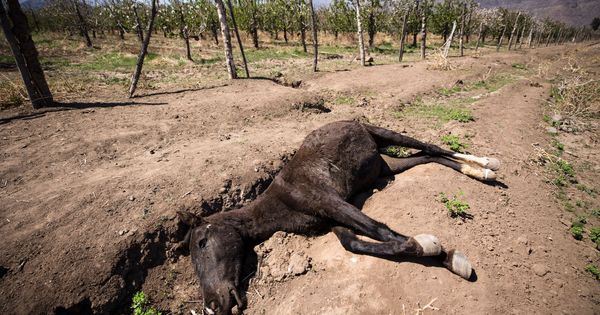 Foto: Así afectará el cambio climático a España: pobres en agua y con más enfermedades. (EFE)