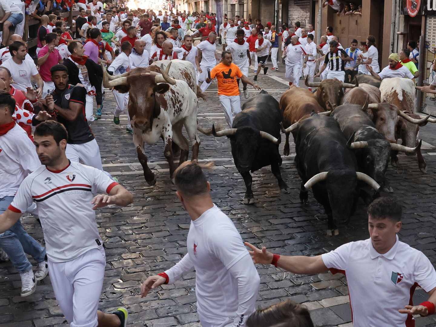 PAMPLONA, 10 07 2022.- Los mozos, durante el cuarto encierro de los Sanfermines con toros de la ganadería La Palmosilla este domingo en Pamplona. EFE  Villar Lopez 