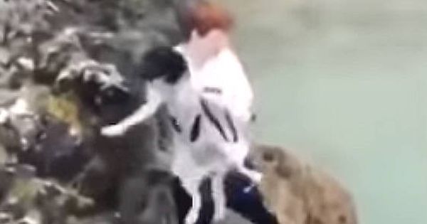 Foto: El joven lanzó al perro al mar desde un acantilado, aunque el animal sobrevivió (Foto: YouTube)