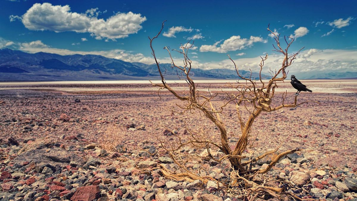 El Valle de la Muerte registra la temperatura más elevada en la historia 
