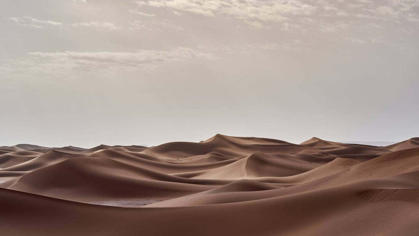 Desierto del Sáhara. (Unsplash)