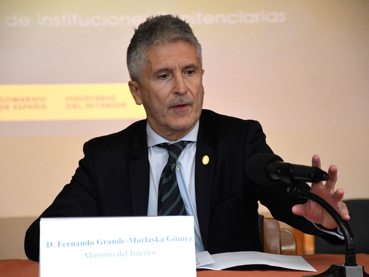 Foto: El ministro del Interior en funciones, Fernando Grande-Marlaska. (EFE)