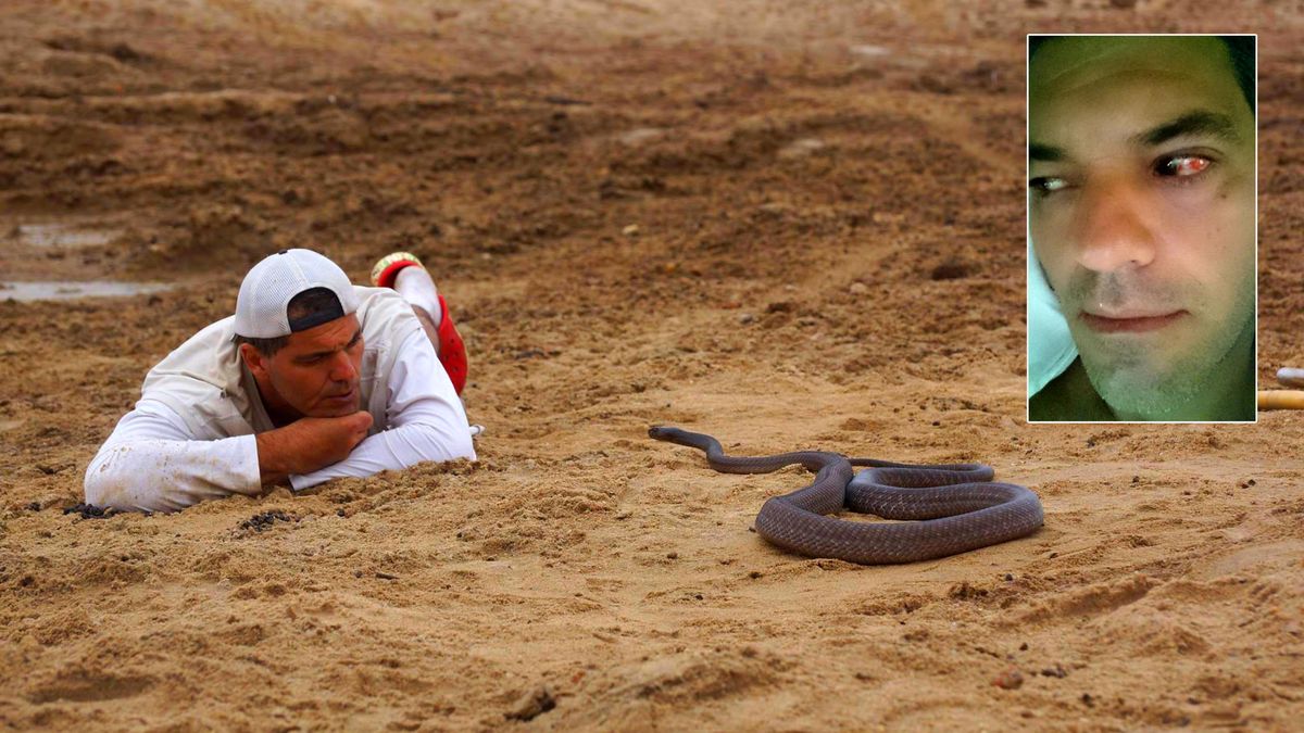 Twitter - Frank Cuesta aparca su programa tras ser atacado por una serpiente
