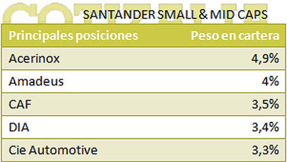 Principales posiciones del fondo Santander Small & Mid Caps