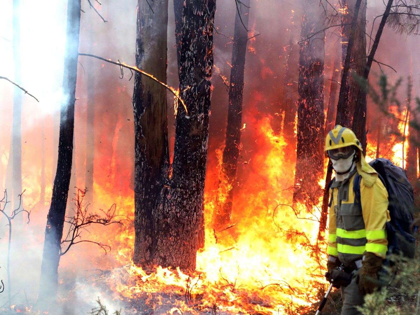 La aldea de A Carballosa, en Porto do Son ha sido afectada hoy por un gran incendio forestal. (EFE)