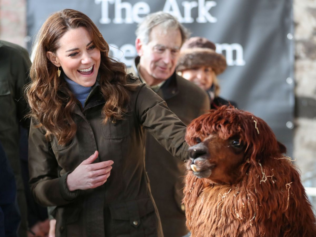 Foto: Kate Middleton, junto a una alpaca en su visita a Ark Open Farm. (Reuters)