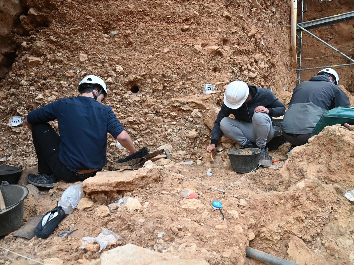 Foto: Atapuerca desvela "la cara del primer europeo", datada hace 1,4 millones de años. (EFE/Santi Otero)