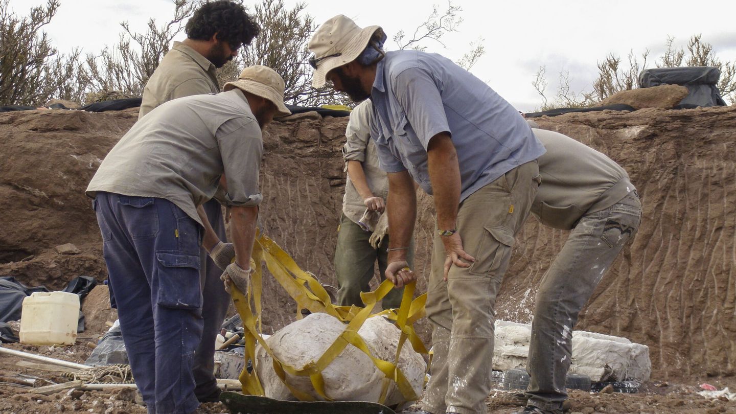 Vista de las excavaciones en la Patagonia argentina, donde se encontraron los restos del Meraxe gigas, una nueva especie de dinosaurio. (EFE/ S. Apesteguía Conicet)