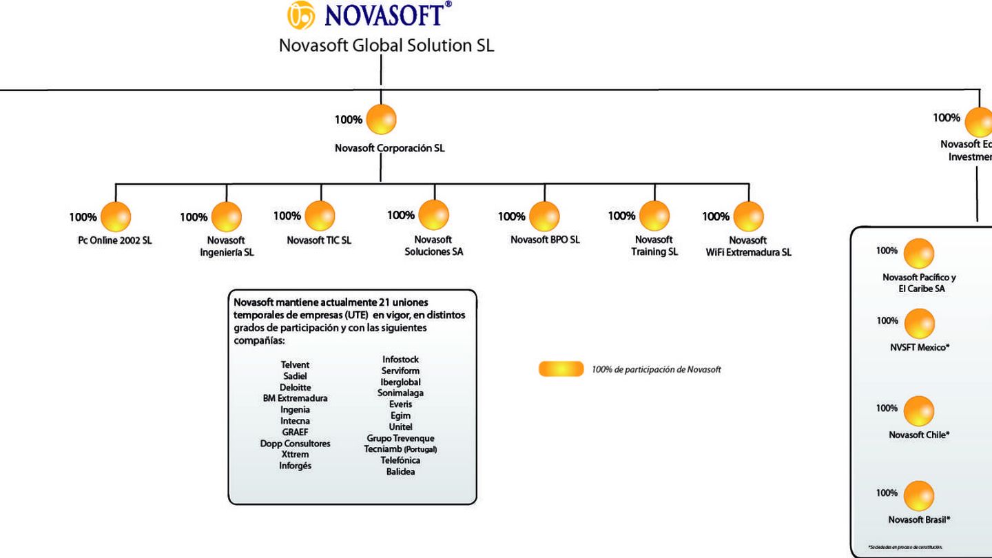 Estructura societaria del grupo Novasoft.