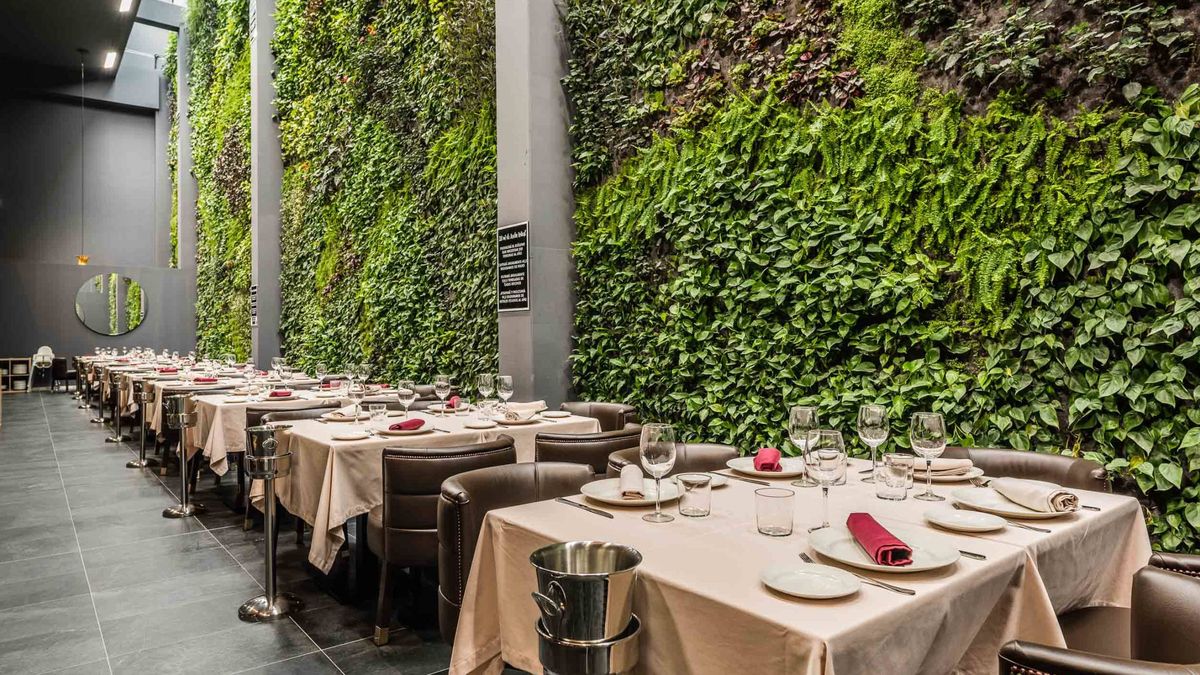 El jardín vertical interior más grande de Europa está en un restaurante de Alcorcón