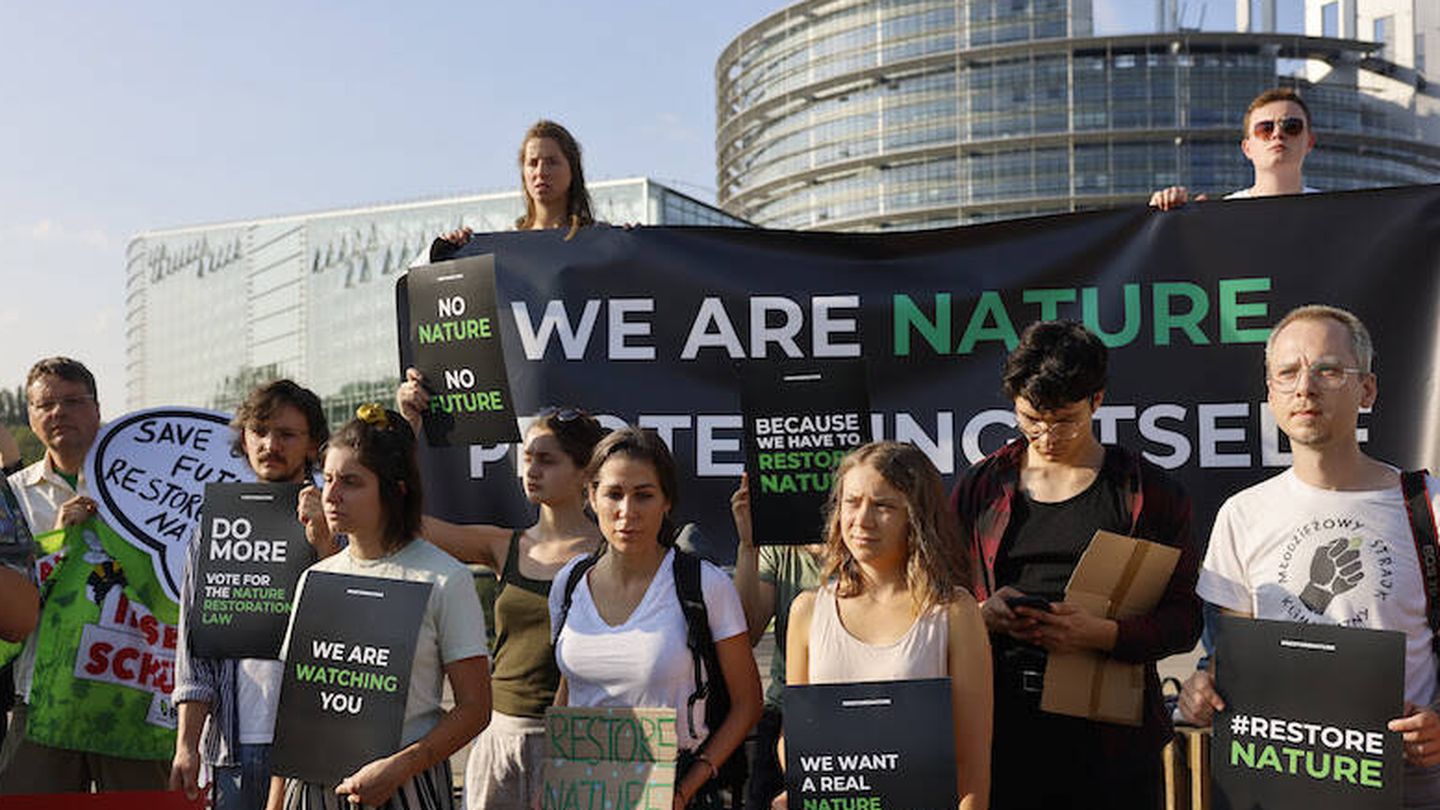 Greta Thunberg se manifiesta junto a activistas medioambientales en el Parlamento Europeo a favor de la Ley de Restauración de la Naturaleza. (AP)
