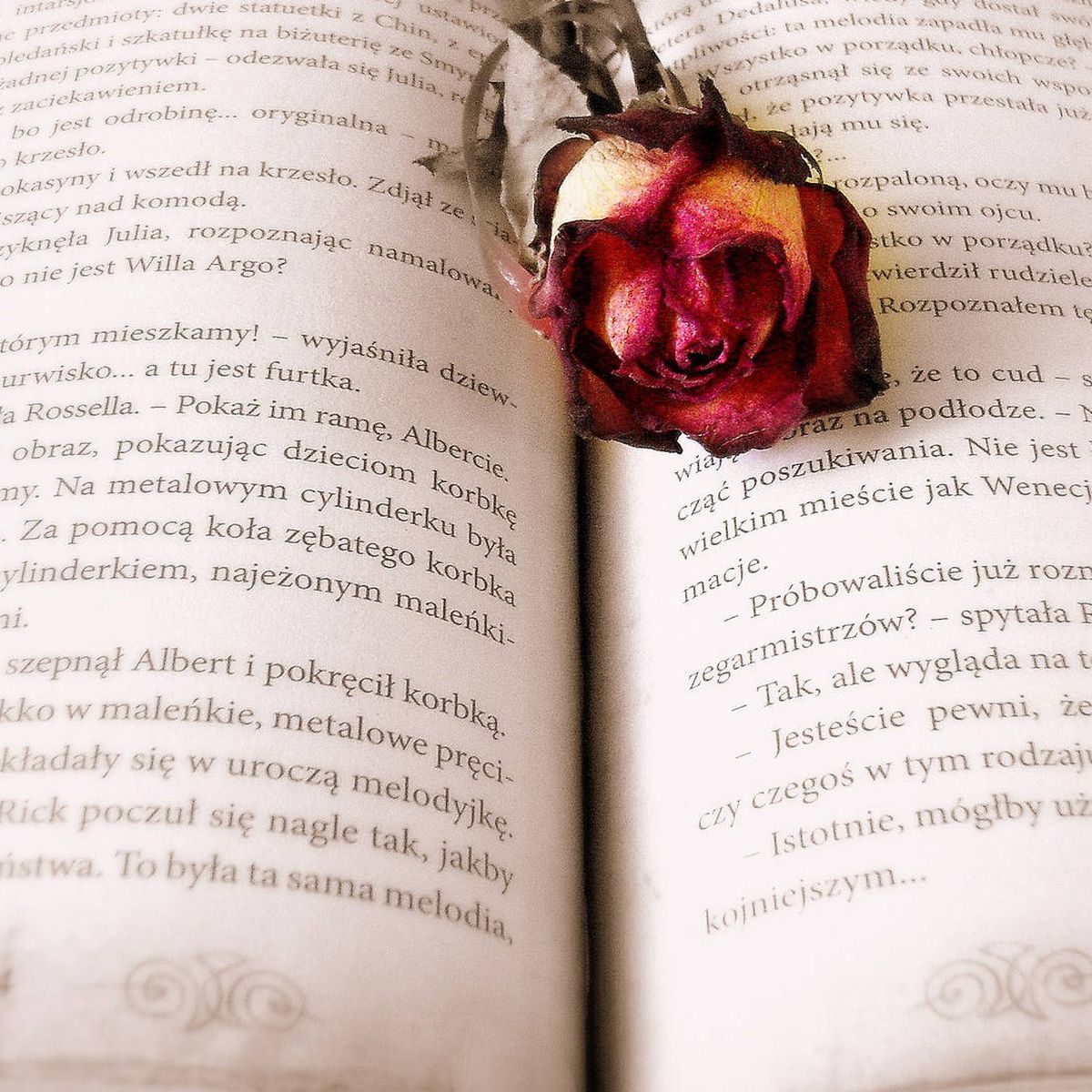 Las 27 mejores novelas románticas de todos los tiempos