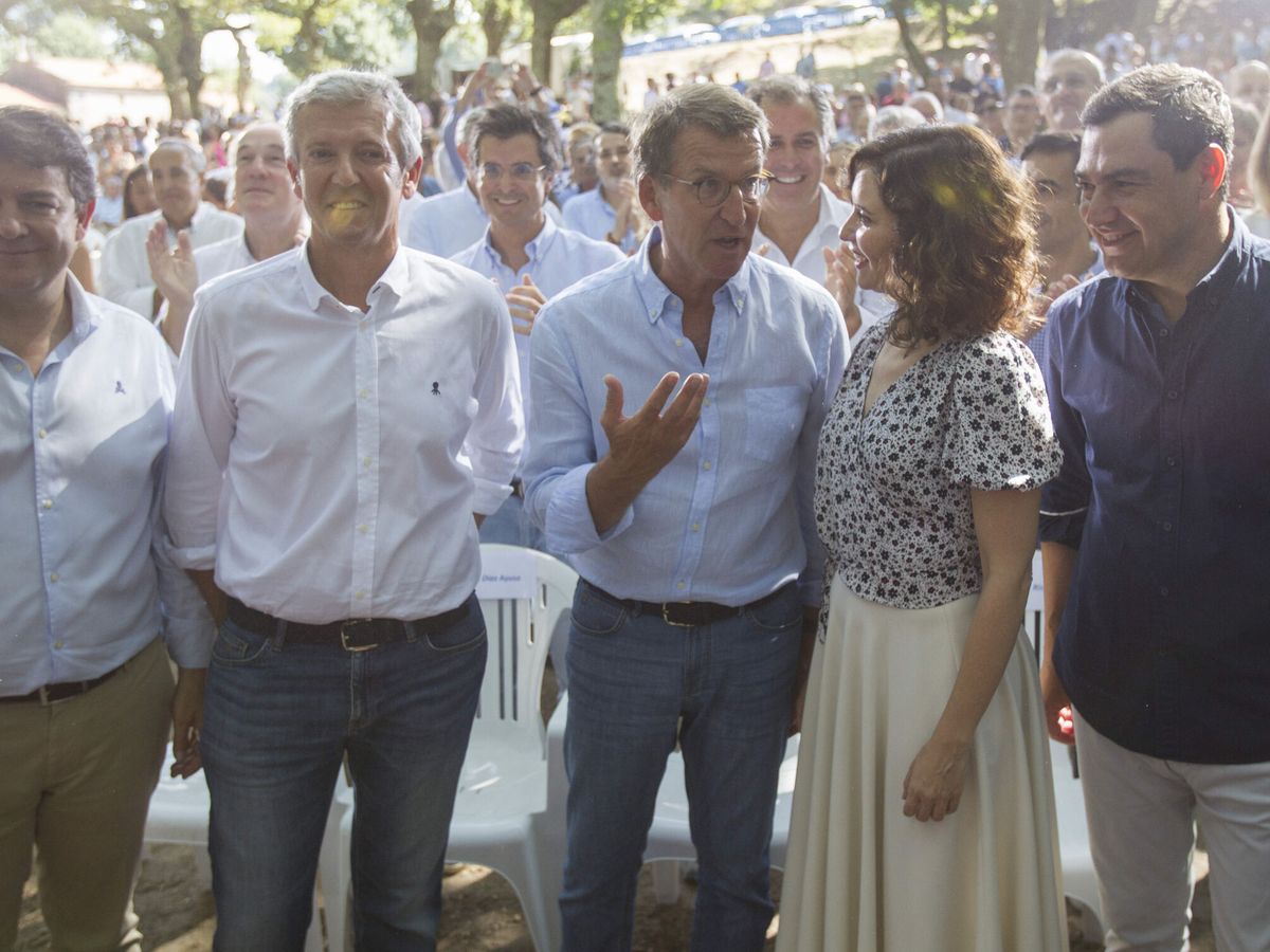 Foto: Feijóo junto a los presidentes autonómicos del PP. (EFE/Salvador Sas)