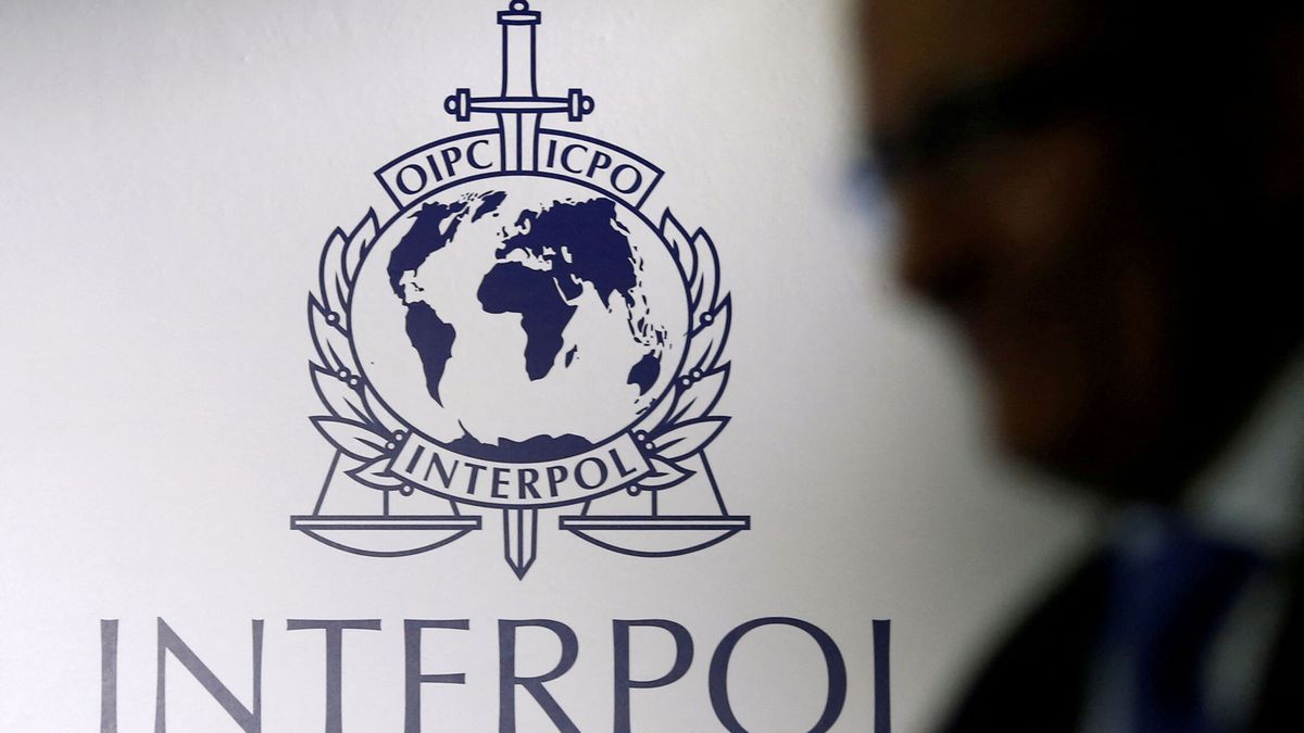 Interpol trata de poner nombre al cadáver de un niño hundido con una piedra en el Danubio