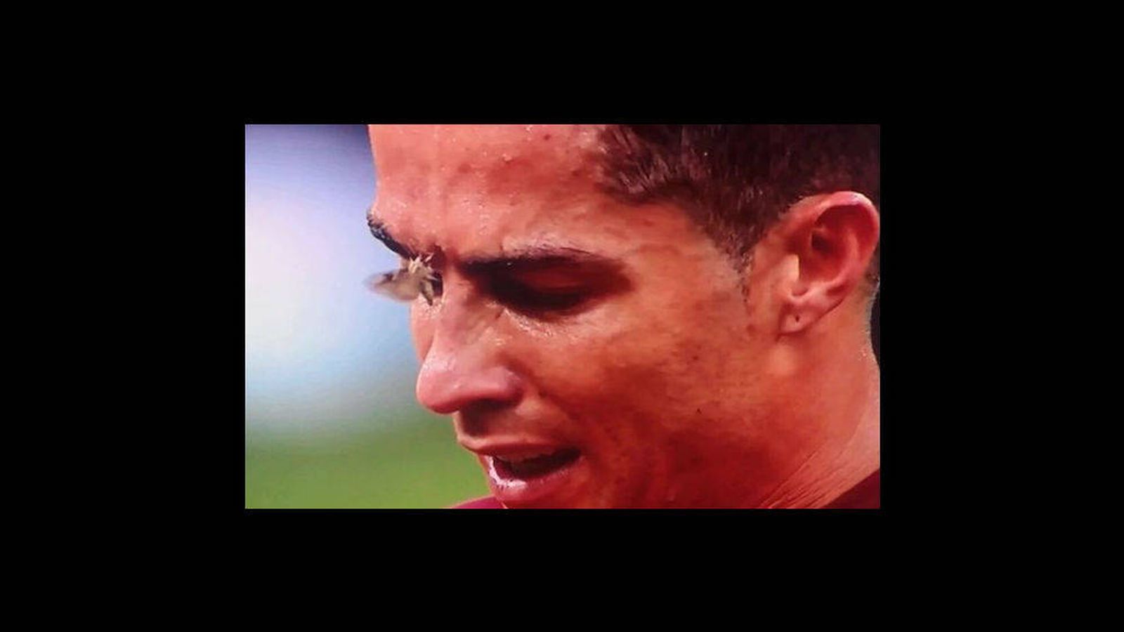 Foto: Una polilla se posó sobre la cara de Ronaldo durante la final de la Eurocopa entre Portugal y Francia 