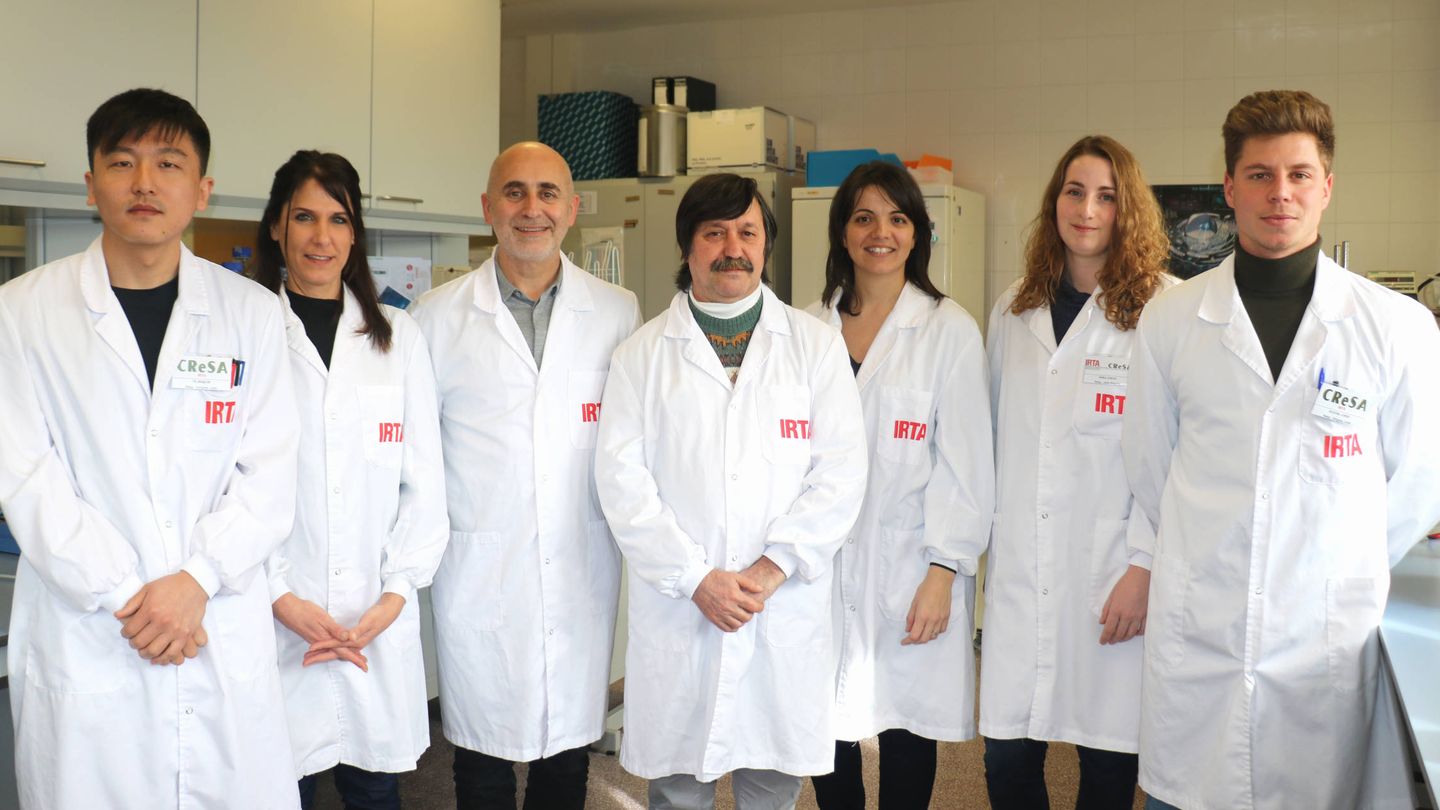 Equipo del Centro de Investigación en Salud Animal del Instituto de Investigación y Tecnología Agroalimentarias (IRTA), de la Generalitat de Cataluña. (Imagen cedida)
