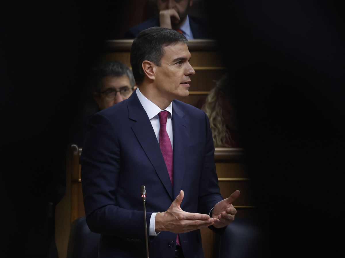 Foto: El presidente del Gobierno, Pedro Sánchez, interviene durante una sesión de control al Ejecutivo en el Congreso de los Diputados. (EFE/Juan Carlos Hidalgo)