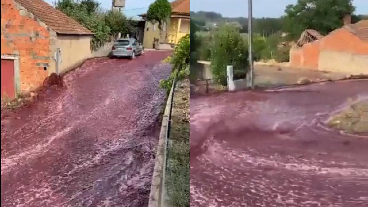 Ríos de vino en Portugal: se derraman 2,2 millones de litros y dejan este impactante vídeo