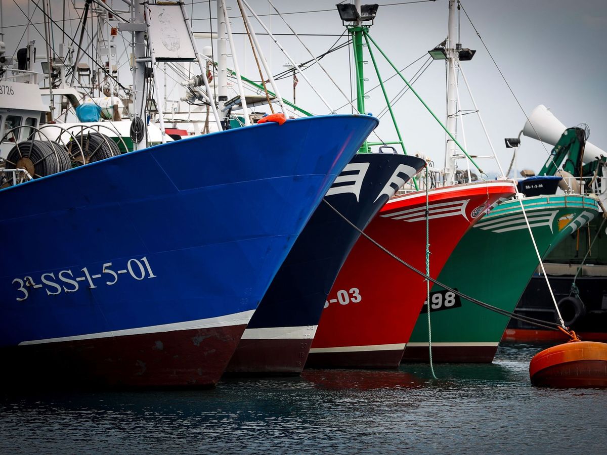 Foto: Barcos anclados en el puerto de Hondarribia. (Efe)