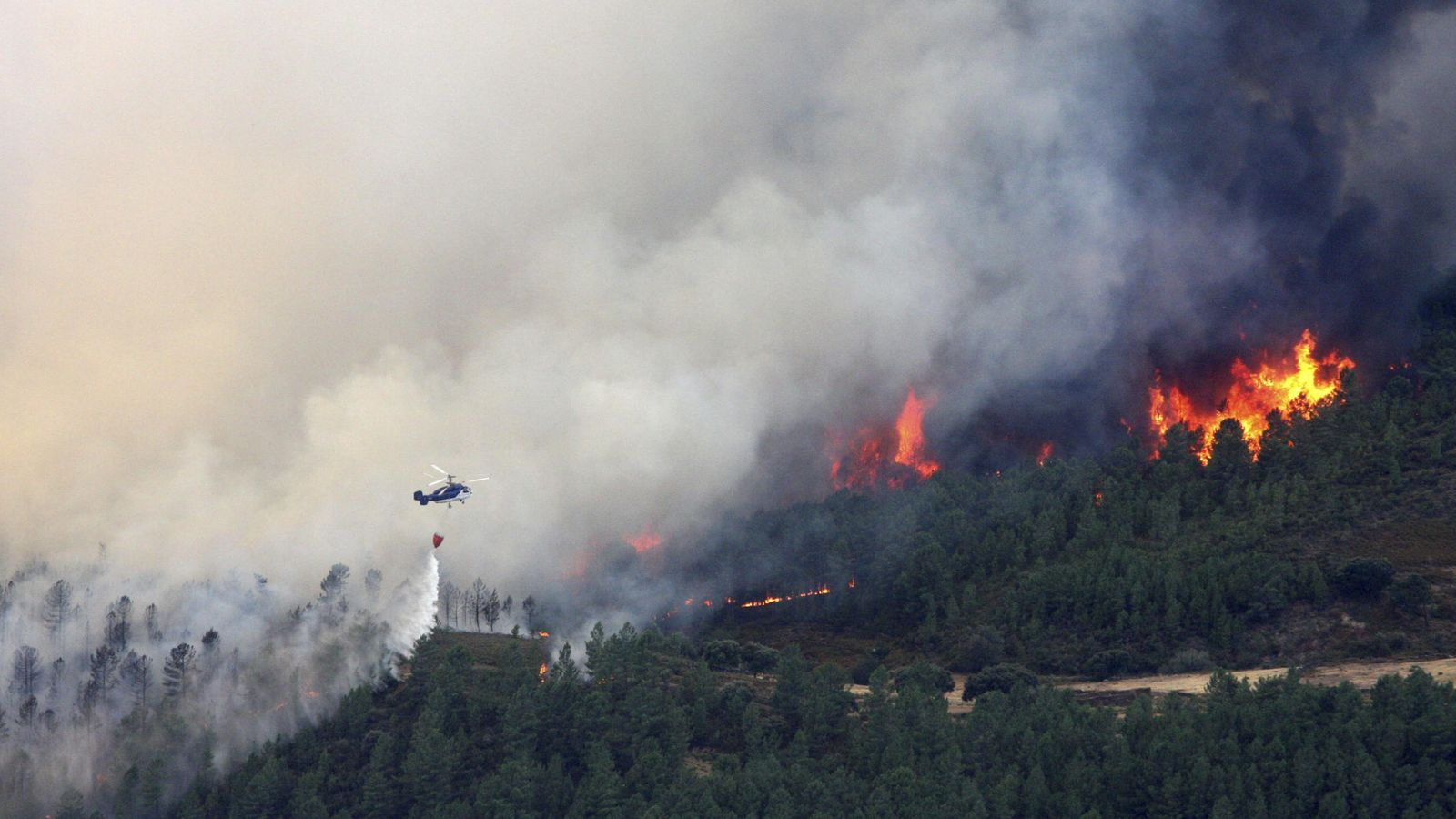 Foto: Un helicóptero realiza una descarga sobre el incendio forestal. (EFE)