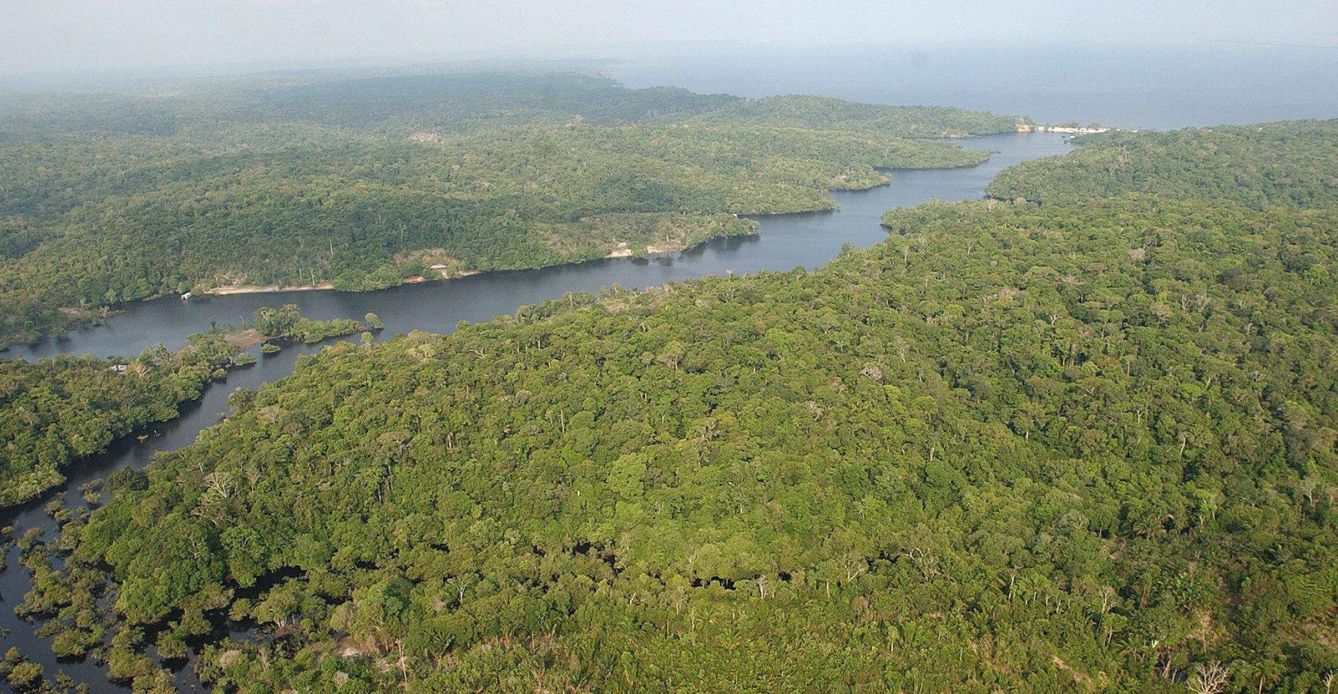 Extensión de bosque en la Amazonia brasileña. (EFE)